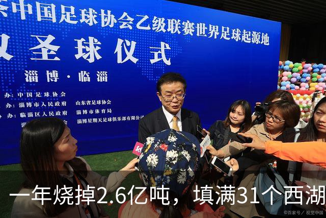 一年烧掉2.6亿吨，填满31个西湖！中国的垃圾，不够烧了？